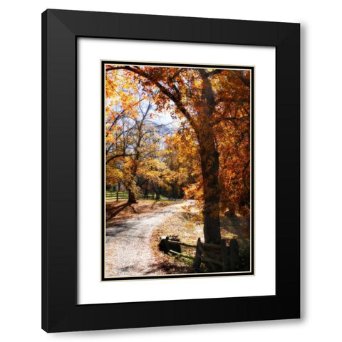 Autumn on Kent Farm IV Black Modern Wood Framed Art Print with Double Matting by Hausenflock, Alan