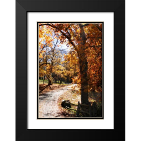 Autumn on Kent Farm IV Black Modern Wood Framed Art Print with Double Matting by Hausenflock, Alan