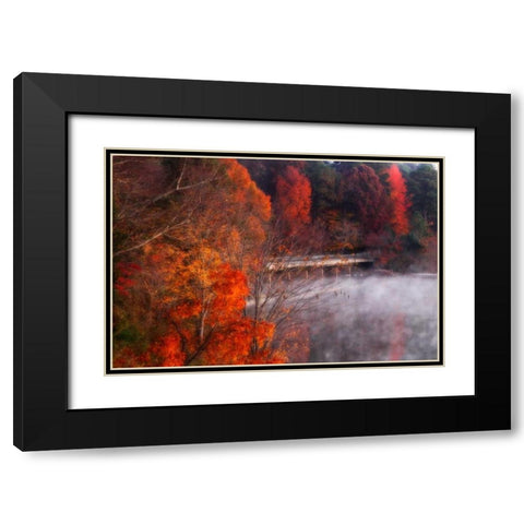 Cold Autumn Morning I Black Modern Wood Framed Art Print with Double Matting by Hausenflock, Alan