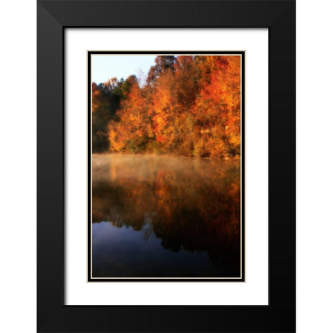 Autumn Mist II Black Modern Wood Framed Art Print with Double Matting by Hausenflock, Alan