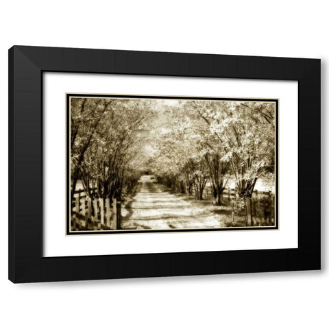 Glen Allen Farm II Black Modern Wood Framed Art Print with Double Matting by Hausenflock, Alan