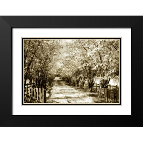 Glen Allen Farm II Black Modern Wood Framed Art Print with Double Matting by Hausenflock, Alan