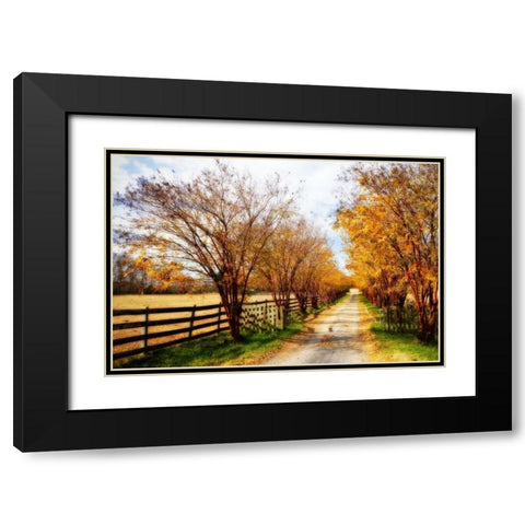 Glen Allen Farm IV Black Modern Wood Framed Art Print with Double Matting by Hausenflock, Alan