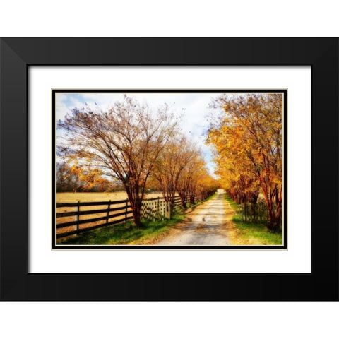 Glen Allen Farm IV Black Modern Wood Framed Art Print with Double Matting by Hausenflock, Alan