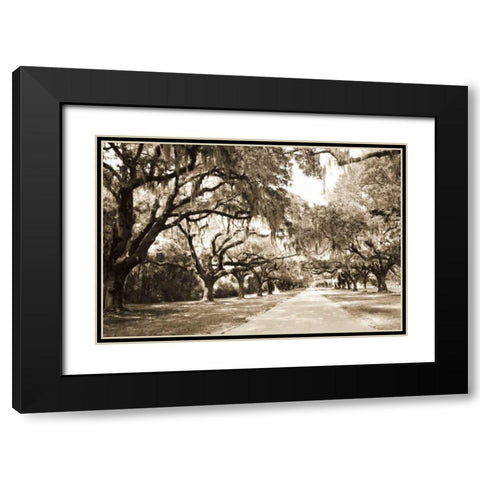 Charleston Oaks 10 Sepia Black Modern Wood Framed Art Print with Double Matting by Hausenflock, Alan