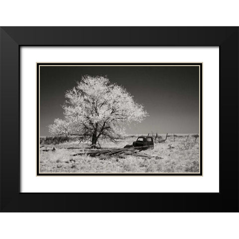 Truck and Tree Black Modern Wood Framed Art Print with Double Matting by Johnson, George
