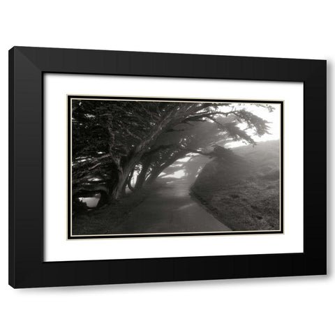 Point Reyes I Black Modern Wood Framed Art Print with Double Matting by Johnson, George