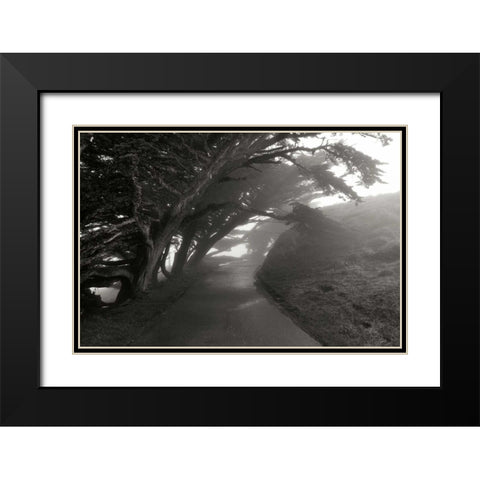 Point Reyes I Black Modern Wood Framed Art Print with Double Matting by Johnson, George