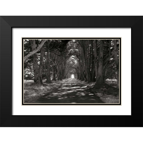 Point Reyes II Black Modern Wood Framed Art Print with Double Matting by Johnson, George