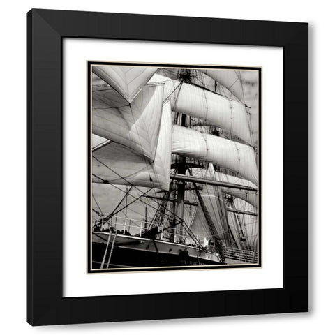 Star of India II Black Modern Wood Framed Art Print with Double Matting by Johnson, George