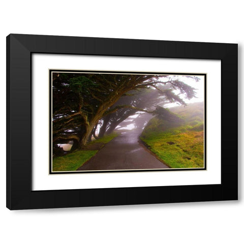 Foggy Path Black Modern Wood Framed Art Print with Double Matting by Johnson, George