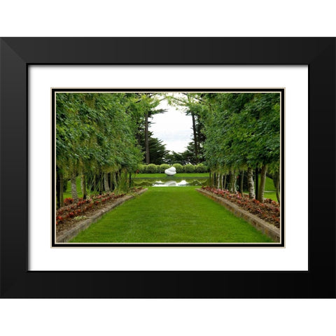 New Zealand Garden Black Modern Wood Framed Art Print with Double Matting by Johnson, George