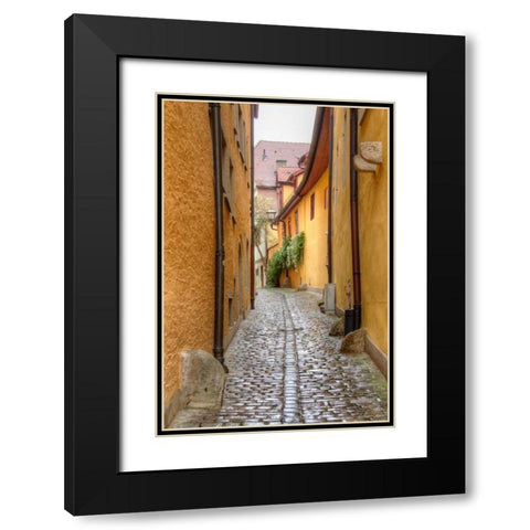 Rothenburg I Black Modern Wood Framed Art Print with Double Matting by Johnson, George
