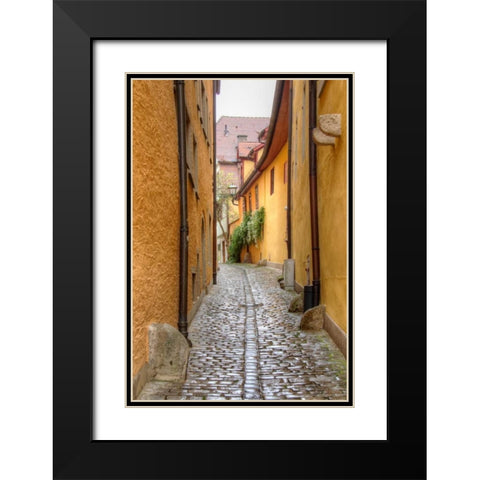 Rothenburg I Black Modern Wood Framed Art Print with Double Matting by Johnson, George