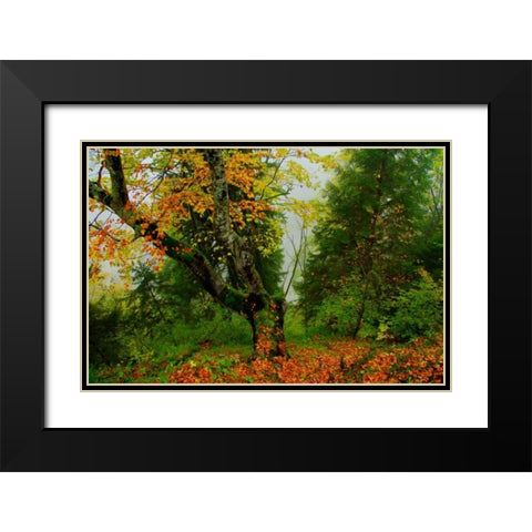 Schloss Hohenschwangau II Black Modern Wood Framed Art Print with Double Matting by Johnson, George