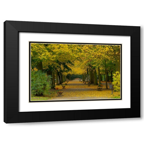 Wurzburg I Black Modern Wood Framed Art Print with Double Matting by Johnson, George
