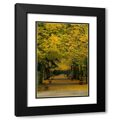 Wurzburg III Black Modern Wood Framed Art Print with Double Matting by Johnson, George
