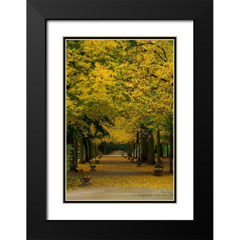 Wurzburg III Black Modern Wood Framed Art Print with Double Matting by Johnson, George