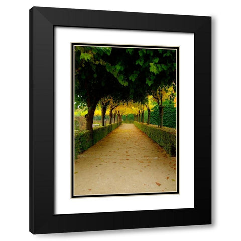 Wurzburg VI Black Modern Wood Framed Art Print with Double Matting by Johnson, George