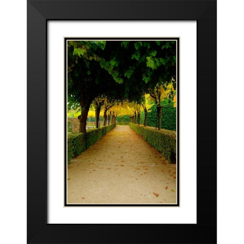 Wurzburg VI Black Modern Wood Framed Art Print with Double Matting by Johnson, George