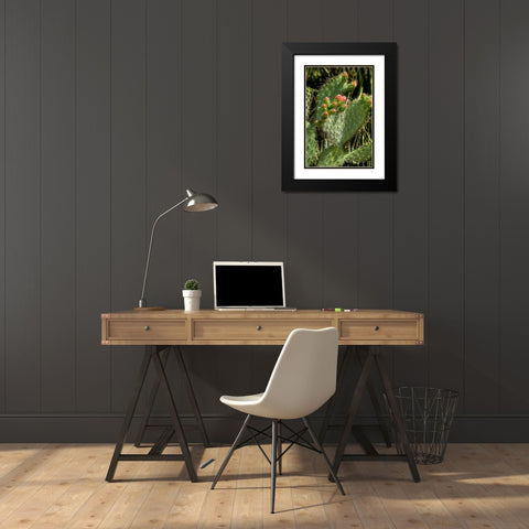 Cactus Flowers II Black Modern Wood Framed Art Print with Double Matting by Johnson, George