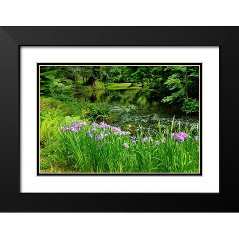 Bloedel Reserve I Black Modern Wood Framed Art Print with Double Matting by Johnson, George