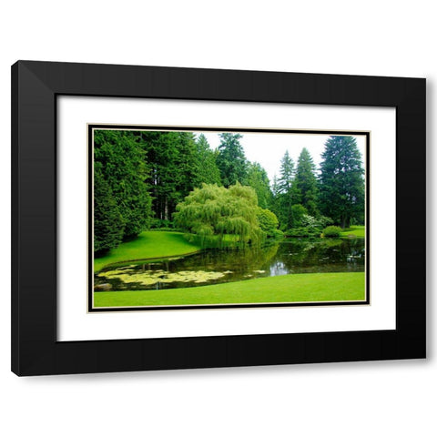 Bloedel Reserve II Black Modern Wood Framed Art Print with Double Matting by Johnson, George