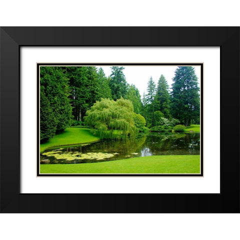 Bloedel Reserve II Black Modern Wood Framed Art Print with Double Matting by Johnson, George