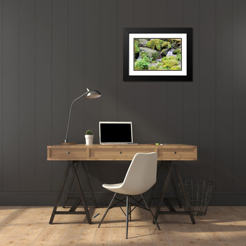 Lake Quinalt small falls Black Modern Wood Framed Art Print with Double Matting by Johnson, George