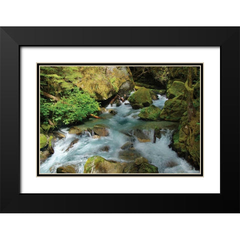 North Cascades NP I Black Modern Wood Framed Art Print with Double Matting by Johnson, George