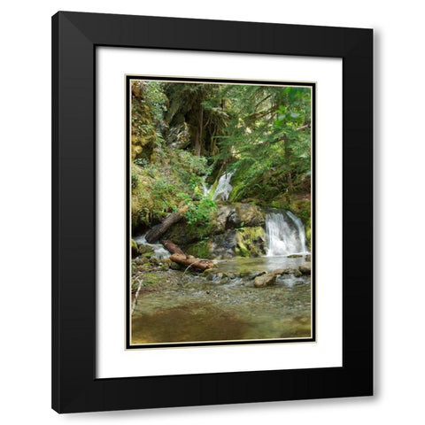 North Cascades NP II Black Modern Wood Framed Art Print with Double Matting by Johnson, George