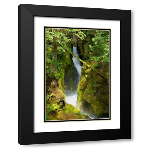 North Cascades NP III Black Modern Wood Framed Art Print with Double Matting by Johnson, George