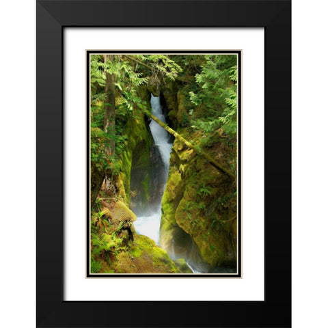 North Cascades NP III Black Modern Wood Framed Art Print with Double Matting by Johnson, George