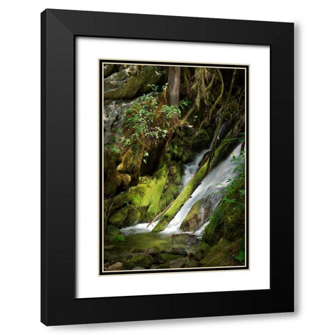 North Cascades NP IV Black Modern Wood Framed Art Print with Double Matting by Johnson, George