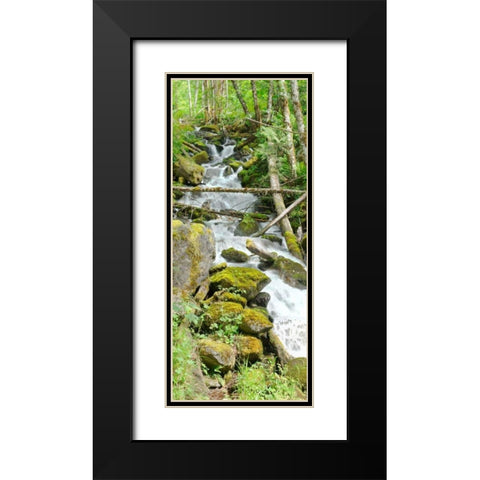 North Cascades NP VI Black Modern Wood Framed Art Print with Double Matting by Johnson, George