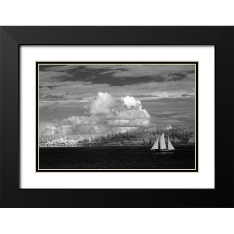 Port Townsend Sailboat I Black Modern Wood Framed Art Print with Double Matting by Johnson, George