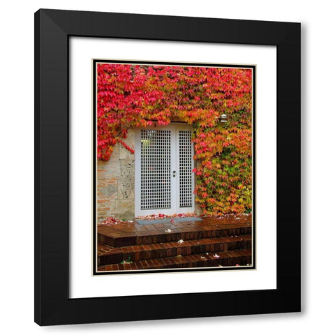 Augustine Door and Ivy Black Modern Wood Framed Art Print with Double Matting by Johnson, George