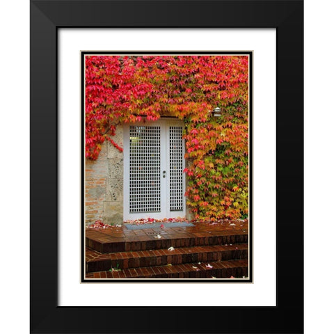 Augustine Door and Ivy Black Modern Wood Framed Art Print with Double Matting by Johnson, George