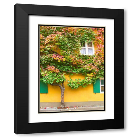 Augsburg Tree and Windows Black Modern Wood Framed Art Print with Double Matting by Johnson, George