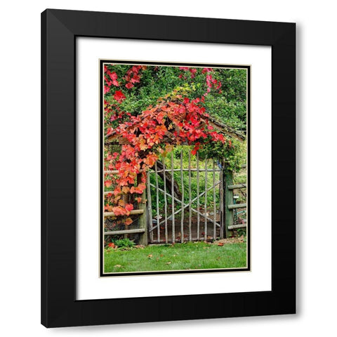 The Garden Gate Black Modern Wood Framed Art Print with Double Matting by Johnson, George