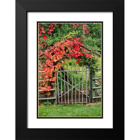 The Garden Gate Black Modern Wood Framed Art Print with Double Matting by Johnson, George