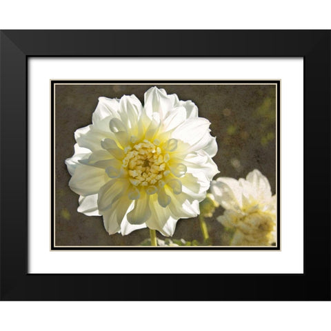 Kaleidoscope Dahlia Black Modern Wood Framed Art Print with Double Matting by Johnson, George