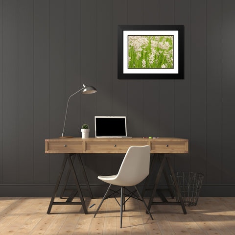 White on Green Field Black Modern Wood Framed Art Print with Double Matting by Johnson, George