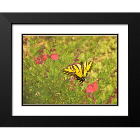 Butterfly and Flowers Black Modern Wood Framed Art Print with Double Matting by Johnson, George