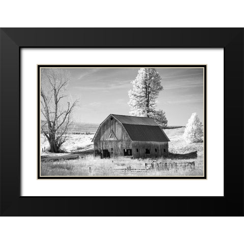 Palouse Barn Black Modern Wood Framed Art Print with Double Matting by Johnson, George