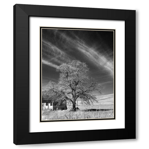 Palouse House and Tree Black Modern Wood Framed Art Print with Double Matting by Johnson, George