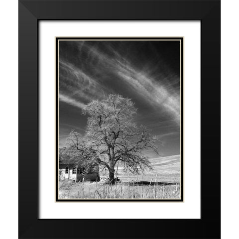 Palouse House and Tree Black Modern Wood Framed Art Print with Double Matting by Johnson, George