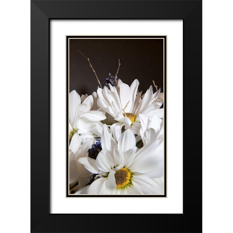 White Daisies Black Modern Wood Framed Art Print with Double Matting by Johnson, George