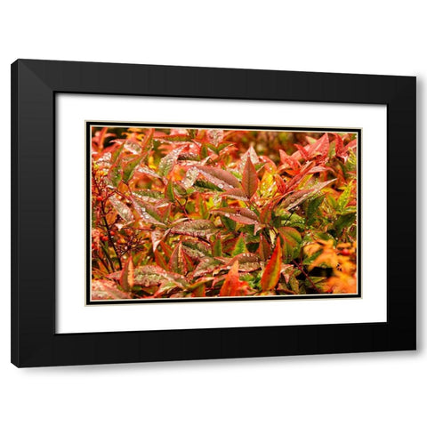 After the Rain Black Modern Wood Framed Art Print with Double Matting by Johnson, George