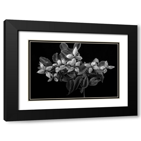 In From the Rain Black Modern Wood Framed Art Print with Double Matting by Johnson, George